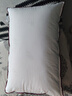 水星家纺枕头枕芯酒店枕头护颈枕头芯家用单个纯棉抗菌可水洗中枕48x74cm 实拍图
