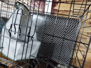 憨憨宠猫笼折叠猫笼子大号猫别墅加粗加密双层猫舍猫窝宠物猫咪用品家用 黑色 600双层 实拍图