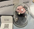 JoyFlower黑凤梨永生花玫瑰花礼盒情人节生日礼物纪念日送男女生朋友高级感 实拍图