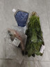 大菠菜300g 实拍图