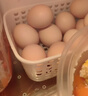 农家新鲜现捡土鸡蛋谷物饲养新鲜鸡蛋柴鸡蛋约40g/枚左右早餐买菜 10枚 实拍图