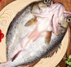 仙泉湖三去白蕉海鲈鱼 400g/条净膛冷冻刺少肉厚特产年货食材生鲜水产 实拍图