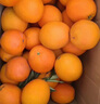 京鲜生 冰糖橙/橙子 5斤装 单果130g-170g 生鲜水果年货礼盒 实拍图