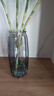 北欧轻奢玻璃花瓶透明客厅高级感插花水养鲜花装饰精致花器摆件 【烟灰组合】20高+27高璀璨 实拍图