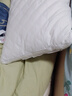 洁丽雅（Grace）纤维枕星级酒店枕头枕芯46*72cm一对装（2只装） 实拍图