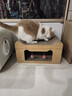 萌嘟星宠 猫抓板猫窝猫玩具猫沙发别墅立式带小球磨爪猫咪用品 猫耳朵款 实拍图