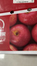 京鲜生 烟台红富士苹果 净重10斤 单果190g以上 生鲜水果 礼盒装 实拍图