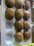 京鲜生陕西【即食】绿心猕猴桃奇异果大果净重1.7kg单果90g以上水果礼盒 实拍图