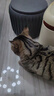 迈路士猫粮牛肉味鱼肉味成猫幼猫通用型全价全阶段猫粮营养均衡猫主粮 鱼肉味冻干六拼猫粮（40%冻干） 5斤 实拍图
