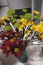 【七彩小雏菊】鲜切花混搭混色多头鲜花插瓶水养花期长七夕礼物 随机混色小雏菊50CM10枝 实拍图