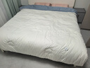 罗莱家纺 棉被 100%全棉新疆棉花被子 纯棉保暖冬被芯 重约8.4斤 实拍图