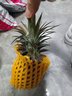 京鲜生 海南金钻凤梨 净重4.5斤单果650g起树上熟新鲜水果源头直发包邮 实拍图