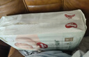 好奇（Huggies）M22片【尿裤免费送】心钻装小森林纸尿裤(6-11kg)【只返1次】 实拍图