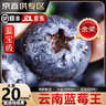 寻良万亩蓝宝级·云南花香蓝莓【JD/顺丰-多地次日达】新鲜水果送礼盒年货 125g*4盒【较划算】丨净100g/盒 精选中果丨单果15mm+ 丨甜 实拍图