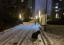 雪中飞【反季清仓】新款百搭时尚休闲斜插式口袋男女同款短款立领羽绒服 岩石灰|8088 L 175/92A 实拍图