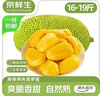 京鲜生海南菠萝蜜整个16-19斤 净重16斤生鲜水果 源头直发 实拍图