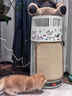 霍尼韦尔（Honeywell）宠物空气净化器吸猫毛除过敏源猫猫搭子 猫毛净化器杀菌消毒除异味KJ360F-C22W 实拍图