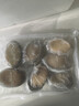 森农乐鲍鱼鲜活冷冻特大生鲜大号贝类海鲜水产超大即食佛跳墙食材鲍鱼汁 6-8只/斤【特大鲍鱼1斤 肥嫩满足】 实拍图