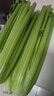 京鲜生山东榨汁大西芹新鲜蔬菜净重9斤源头直发包邮 实拍图