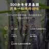 唐仁集黄冰糖500g 1斤 多晶蔗糖老冰糖 烘焙泡茶甜汤厨房调味食品 实拍图