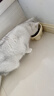licheers猫碗陶瓷狗猫食盆宠物猫粮喝水高脚斜口防打翻喂食碗护颈猫咪用品 实拍图