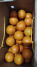 青舞正宗广东德庆皇帝柑贡柑新鲜水果精选大果非沃橙橘桔子装孕妇水果 10斤礼盒装严选中大果（净9.2斤） 实拍图