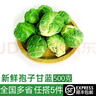 绿食者 孢子甘蓝500g 抱子甘蓝 迷你小包菜小卷心菜新鲜蔬菜沙拉食材 实拍图