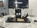 喜高超白玻璃鱼缸智能鱼缸免换水小型客厅水族箱一体式过滤氧气鱼缸 黑色-鱼缸标配 600*268*322mm 实拍图