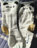 babycare儿童袜子男童棉袜女童地板袜宝宝童袜新生婴儿袜 泡芙熊猫3双 2XL 实拍图