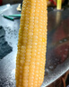 十月稻田 黄甜糯玉米 8根 3.52斤 真空包装 东北粘玉米棒 低脂早餐 实拍图