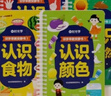 【时光学】识字早教安静书 识字启蒙安静书早教魔术贴益智玩具认字卡片撕撕书 【全套10本】 实拍图