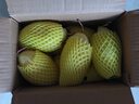 京喜加海南鲜芒果小台水果芒果新鲜上市 带箱6斤【单果90g以上】 实拍图