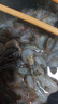 海宴农 野生小河虾500g 当季新虾 活虾速冻 年货礼盒 新年年货 源头直发 实拍图
