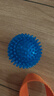 宜特（EETOYS）小号刺球蓝色狗狗玩具趣味发声磨牙耐咬洁齿球独处解闷宠物用品 实拍图