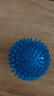 宜特（EETOYS）小号刺球蓝色狗狗玩具趣味发声磨牙耐咬洁齿球独处解闷宠物用品 实拍图
