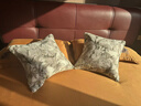 恒源祥纯棉抱枕芯 万能方形沙发靠垫内胆 45 50 55枕头芯酒店单只一对装 一对装-立体边 45cm*45cm 含枕芯 实拍图
