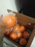 土八鲜江西橙子赣南脐橙新鲜水果赣州脐橙手剥甜橙礼盒 奋进橙9-10斤【单果200g+】 实拍图