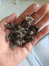 富昌 无根小片黑木耳200g/罐 秋木耳肉厚无根小秋耳 火锅食材煲汤材料 实拍图