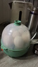 九阳（Joyoung）煮蛋器多功能智能蒸蛋器7个蛋量 ZD7-GE130（飞泉绿） 实拍图