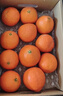京鲜生 四川爱媛38号果冻橙 净重5斤 单果150g起 生鲜柑橘桔子水果礼盒 实拍图