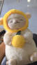 名创优品（MINISO）羊咩咩-小羊站姿公仔毛绒玩具玩偶抱枕娃娃生日礼物女 柠萌精28cm 实拍图