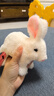 雅斯妮儿童玩具仿真动物电动宠物小兔子玩偶会动会叫3-6岁新年生日礼物 实拍图