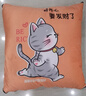 浪莎（LangSha）抱枕被子两用午睡车载抱枕被子盖毯二合一办公室午睡毯沙发靠垫 发财猫【水晶绒+磨毛面料】 50cm*50cm 【150*195cm】 实拍图