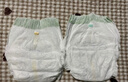 babycare金山茶花婴儿拉拉裤mini装L码20片(9-14kg)尿不湿【新老混发】 实拍图