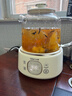 小熊（Bear）全玻璃养生壶 纯玻璃多功能恒温壶 办公室轻音炖煮花茶 1L YSH-J10D1 实拍图