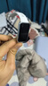华为（HUAWEI）手环10 标准版 冰川白 智能手环专业睡眠分析情绪健康铝合金机身心率监测运动手环华为手环9升级 实拍图