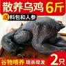 王氏正德 鸡 乌鸡 农家散养乌骨鸡 新鲜冷冻现杀生鲜月子鸡 鸡肉整只 发2只 3斤/只 送料包+鲜参 实拍图