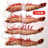 梦尝客黑虎虾超大虾特大号年货礼盒深海巨型老虎虾大对虾生鲜海鲜 黑虎虾特大号4只 700g(净重)   长27-29cm 精品黑虎虾 实拍图