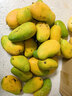 京鲜生海南小台农芒果 净重4.5斤 单果70g+ 新鲜水果 源头直发 实拍图