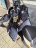 莱枢汇电动车挡风被冬季户外骑行保暖加厚防水踏板摩托车挡风罩电瓶车 星星小熊 1件 实拍图